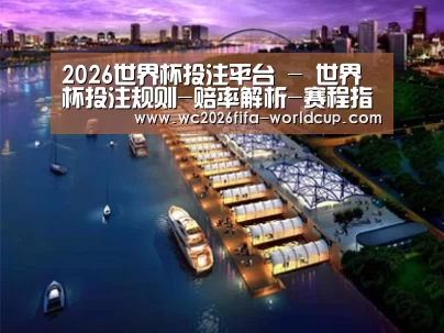 案例展示八