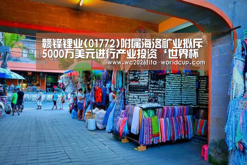 赣锋锂业(01772)附属海洛矿业拟斥5000万美元进行产业投资‘世界杯下注’(图4) 世界杯下注平台