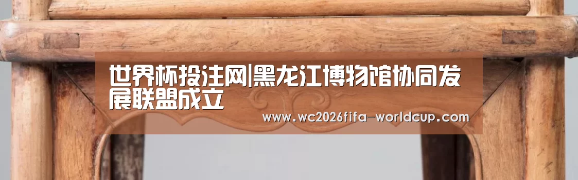 世界杯投注网|黑龙江博物馆协同发展联盟成立(图2) 世界杯下注