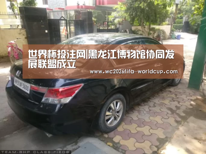 世界杯投注网|黑龙江博物馆协同发展联盟成立(图1) 世界杯下注