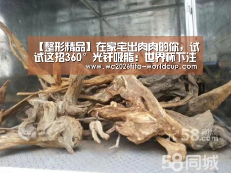 世界杯下注