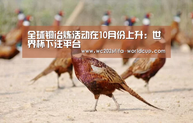 全球铜冶炼活动在10月份上升:世界杯下注平台(图2) 世界杯下注平台